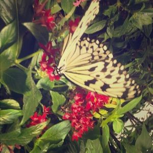 Meet your Posher, Deana